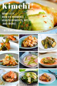 Kimchi Guide - you can read about everything you want to ever know about Kimchi right here. Includes a general guide on how to make Kimchi, how to store, health benefits and links to recipes and much more. #kimchi #kimchirecipes #fermentedfoods #fermentation #picklers #koreanfood #banchan #asianfood