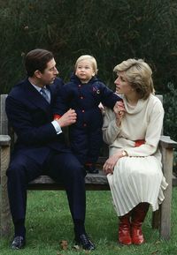 HMTQCatherine🌹 on Twitter: ""I loved Charles & he loved me. To say that he didn't is wrong, totally wrong" ~ #PrincessDiana #KingCharlesIII https://t.co/DR59o9AzYI" / Twitter