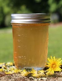 Traditional Scandinavian Dandelion Syrup Recipe from the nerdy farm wife