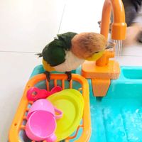 Amazon.com : Pet Parrots Bathtub - 19PCS Parrot Bath Tub Automatic Bath Tub with Faucet Electric Dishwasher Playing Toy Parrot Bathtub with Faucet Bird Bathing Box Bird Feeder Bird Bathroom Toys (Green) : Pet Supplies