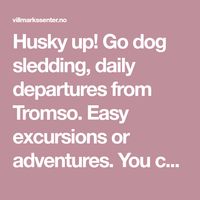 Husky up! Go dog sledding, daily departures from Tromso. Easy excursions or adventures. You can drive the sled or sit as a passenger.