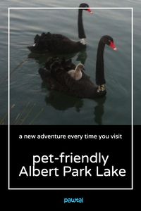 Check out Port Phillip's Albert Park Lake for your next pet-friendly adventure offering an easy 4.8km loop walk. Located within the inner suburbs of Melbourne, the walk takes about 1 hour to complete offering great views of the city. make paw-memories xo