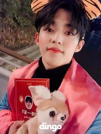 181221 Dingo Official Twitter Update with Seventeen #세븐틴 #seventeen #seungcheol #scoups #cheol #coups