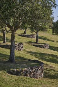 Garden, Backyard landscaping designs, Yard landscaping, Front yard landscaping, Hillside landscaping, Sloped garden - Matiatia Suzanne Turley Landscapes landscape landscapes Matiatia Suzanne Turley - #Garden