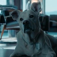 krypto icon