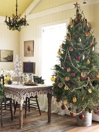 Popcorn & Cranberry garland on tree; dried orange slices as ornaments; apples & pears tied to the tree