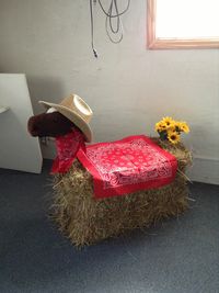 VBS decoration using hay bale.