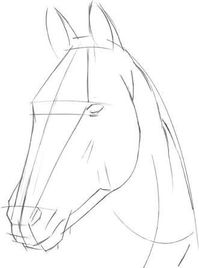 Résultat de l'image pour dessiner une tête de cheval pas à pas - #draw #horse #Image #re ... - #à #cheval #de #dessiner #draw #horse #image #l39image #pas #pour #Résultat #Tête #Une