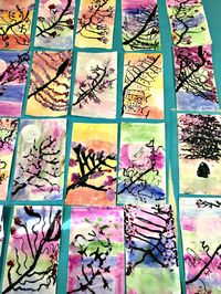 Nice- BUT Limit # of branches! We looked at various cherry blossom trees and learning about Asian culture. I taught our kindergarteners about the word Hanami, which is the practice of picnicking under a blossoming tree. (I really wanted to take them outside to sit under a tree while we painted, but it was still cold outside!) We kicked off the project by painting light watercolor sunsets for our backgrounds. I demonstrated the wet-on-wet technique and showed children how to blend stripes of