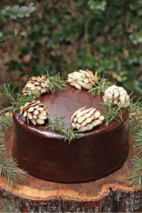 Make edible pinecone decorations for your cake using almond slivers