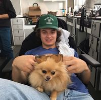 Joe Keery