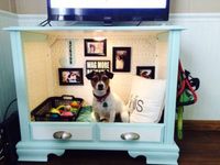 How To Design A Space for Your Dog: My Top Picks - Bark and Swagger