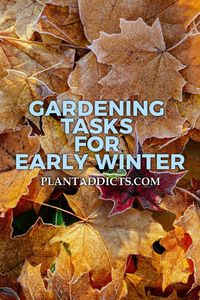 Every year it seems like gardening is coming to an end and the work is over with. But don’t forget there is still work to be done before you start decorating for Halloween, Thanksgiving or Christmas.