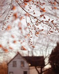 Autumn Cozy