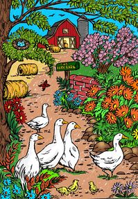 Book: Creative Haven: Country Farm Scene by Teresa Goodridge. Digitally colored using Pigment app on IPad Pro.