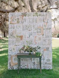 Backdrop
