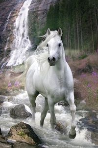 horse and waterfall. Please also visit www. JustForYouPropheticArt.com for inspirational art and stories. Thank you so much!