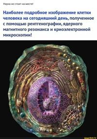 Давно так не смеялся :)