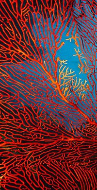 Gorgonian Sea Fan Photograph: "Fantasy Fan Flipped" by Paula Marie deBaleau