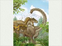 Allosaurus 1: Glaring at Diplodocus (formerly Seismosaurus)
