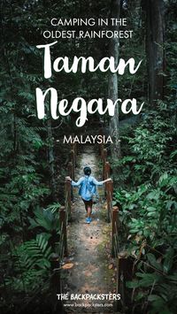 Plan a trip to Taman Negara, the world’s oldest rainforest! Read here for full details on where to stay in Kuala Tahan, what to eat, the best time to visit Taman Negara and options in transport to Taman Negara from Kuala Lampur. Use this as a base to plan your day trips or camping experience in the Malaysian rainforest!