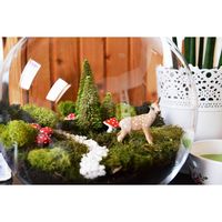 Amazing Terrarium DIY Projects - The Cottage Market