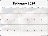 Collection of February 2020 photo calendars with image filters. kittens