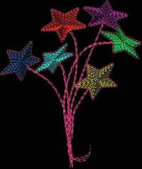 Seeing Stars