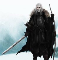 Lord Commander Brynden Rivers by Mike-Hallstein on DeviantArt