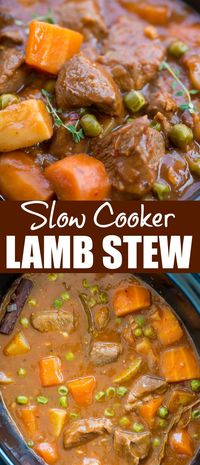 Slow Cooker Lamb Stew with tender fall apart lamb chunks and hearty vegetables have a rustic flavourful wine based gravy. This Lamb Stew is definitely going to keep you warm in the winter.