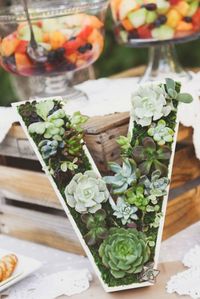 Ecofriendly wedding ideas: Succulent wedding monogram