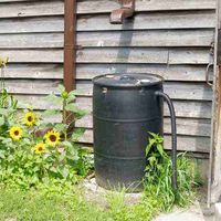 6 Methods for Harvesting Rainwater
