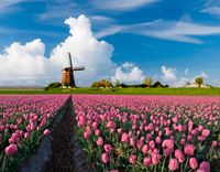 Netherlands