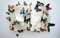 🦋