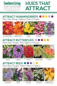 BIRDS, BEES AND BUTTERFLIES, OH MY! Attracting Pollinators to the Garden.