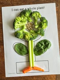 It's plant time!! Teach kids about the parts of a plant while they eat parts of a plant for a healthy snack. #NutritionCrafts