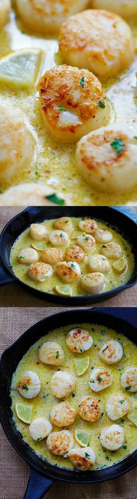Creamy Garlic Scallops - best homemade scallops recipe. Made with lots of garlic and cream. So good