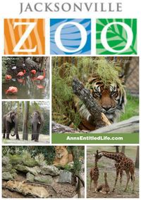 The Jacksonville Zoo; Photographs of the animals at the Jacksonville Zoo, as well as my review of my day at the Jacksonville Zoo and Gardens. http://www.annsentitledlife.com/florida/the-jacksonville-zoo/