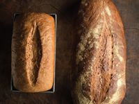 Peter Reinhart's new book, Bread Revolution, is focused on breads made with sprouted grains and sprouted grain flours. Below is one recipe from the book reprinted here with permission.Sprouted Whole Wheat Bread Makes 1 large loaf, 2 smaller loaves, or up to 15 rollsThis master dough can be used to make bread in any shape or size. It showcases the natural sweetness and tenderness of sprouted whole wheat flour without any added oil, fat, or other enrichments, such as milk, eggs, or sweeteners.
