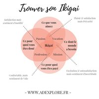 ikigai, pourquoi, mission de vie, reconversion professionnelle, développement personnel, blog