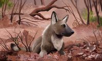 Hodari the Sleep Deprived no Twitter: "Meanwhile, Protocyon lasted until the very end of the Pleistocene, and its bite marks have been found on larger animals including glyptodonts. These lived in savannahs and open woodland and were similar in size to today's African wild dogs or a bit larger. https://t.co/Oz8WUUwtOL" / Twitter