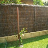 #brezo #ocultacion #jardin #terraza #patio #bricocentro