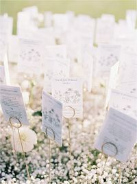 A Baby's Breath-Filled Wedding in The Berkshires