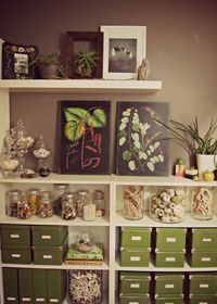 featuredshop_handmade_terrariums_homedecor_seaandasters_009