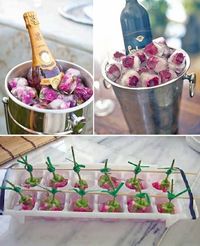 Rose ice
