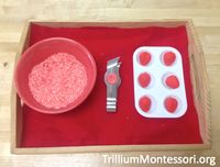 Strawberry Patch - Trillium Montessori