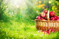 The Bruised and the Beautiful Apple – A Powerful Lesson in Bullying
