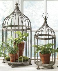 Love wired birdcages and ivy!