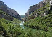 Foz de Lumbier: un sendero completamente adaptado, paralelo al río Irati invita a detenerse en cada momento tanto para observar y escuchar la corriente del río como para observar las aves y buitres que nidifican en las paredes rocosas de esta garganta, que también es Reserva Natural.