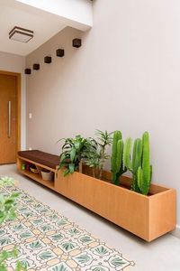 30. Decoração com vasos de plantas com cactos para entrada de casa. #vasosdeplantas #vasosdeplantascriativo #vasosdeplantasreciclavel